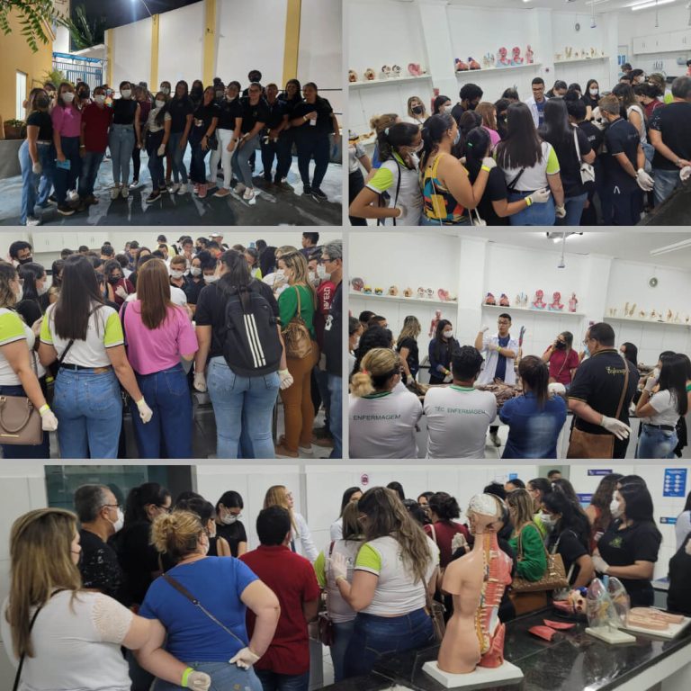 Retrospectiva das últimas atividades realizadas pelo curso de Enfermagem da FACAL